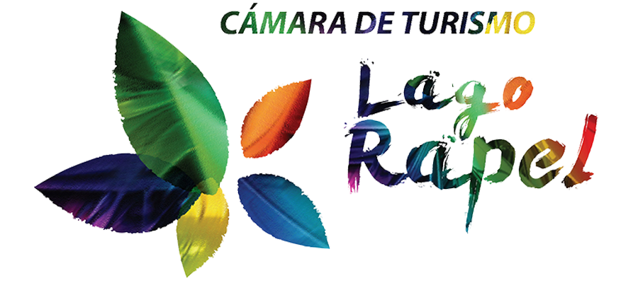 logo-camara